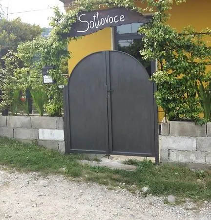 Sottovoce